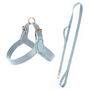 Genuine Leather Small Dog Harness Set with Leash