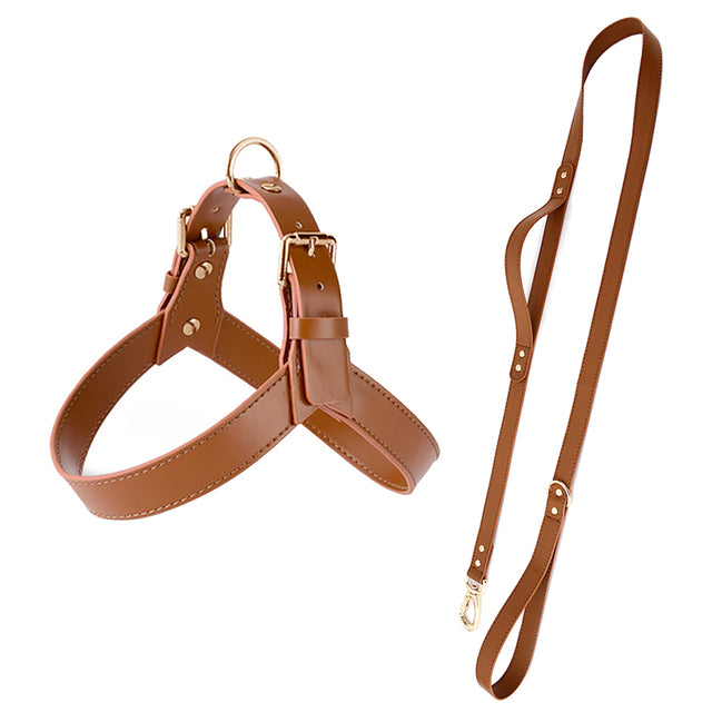 Genuine Leather Small Dog Harness Set with Leash
