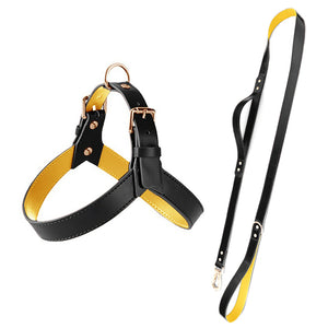 Genuine Leather Small Dog Harness Set with Leash