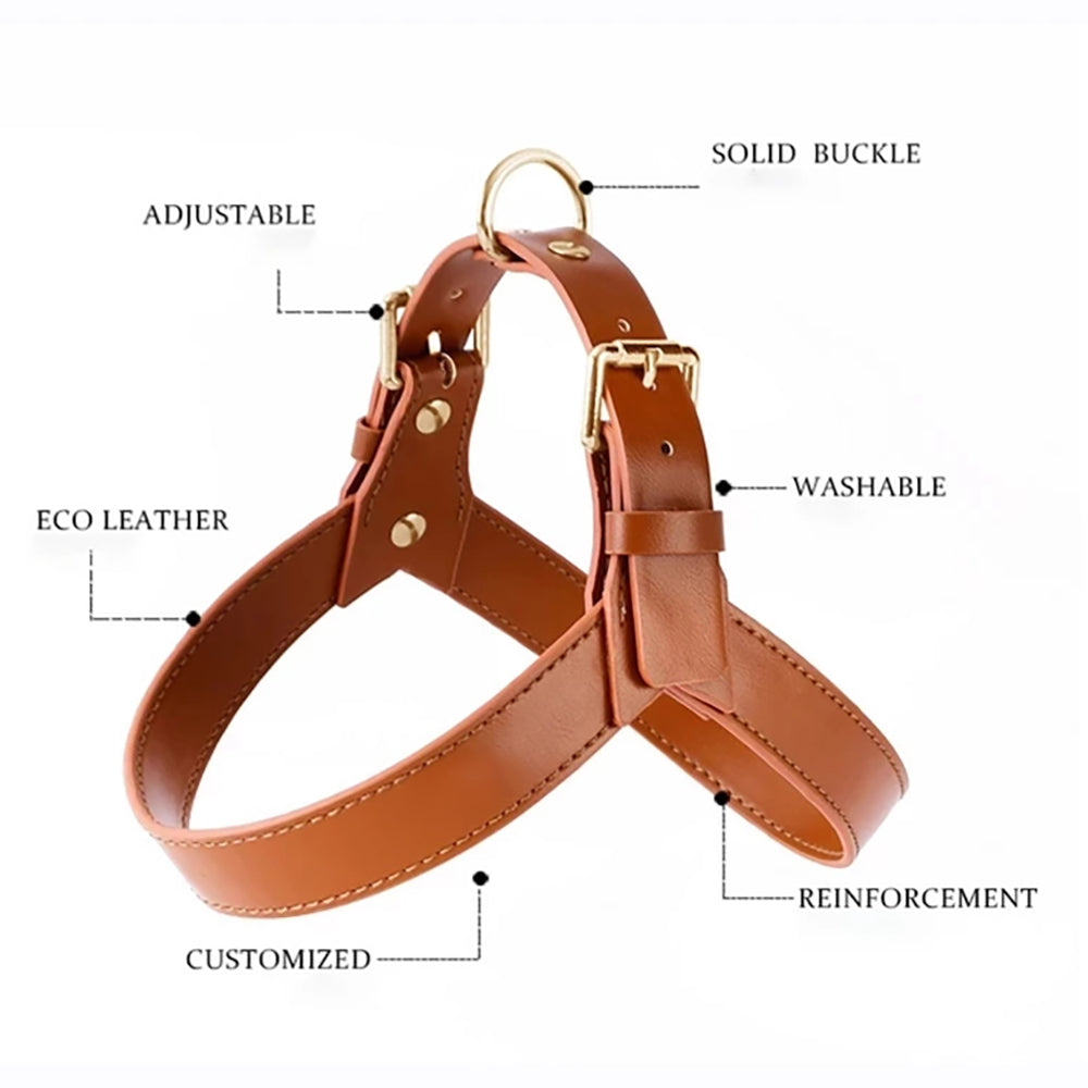 Genuine Leather Small Dog Harness Set with Leash