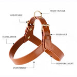 Genuine Leather Small Dog Harness Set with Leash