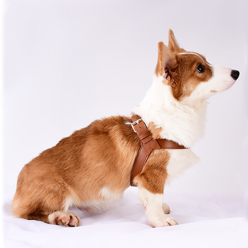 Genuine Leather Small Dog Harness Set with Leash