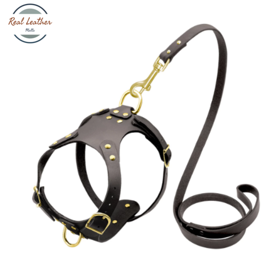 Genuine Leather Adjustable Dog Harness and Leash Set