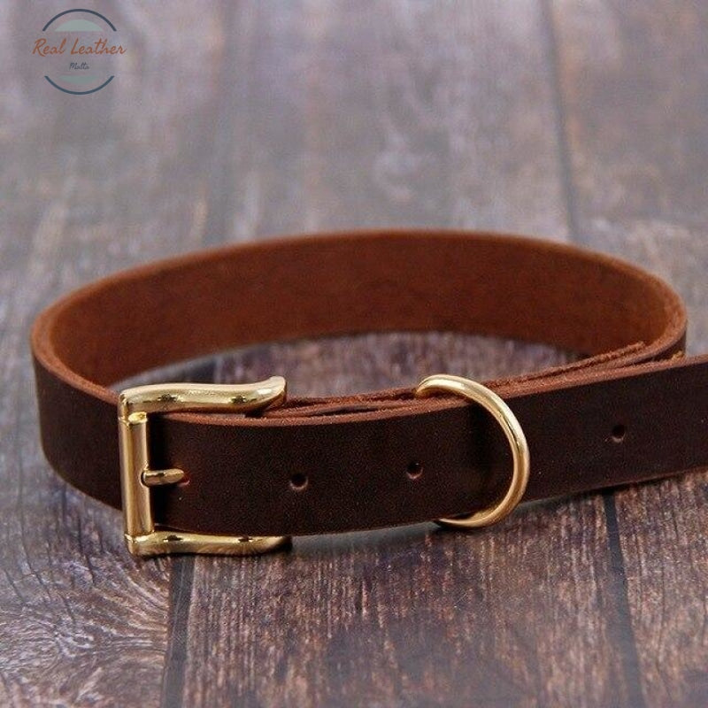 Genuine Leather Dog Collar Brown / Xl Collars