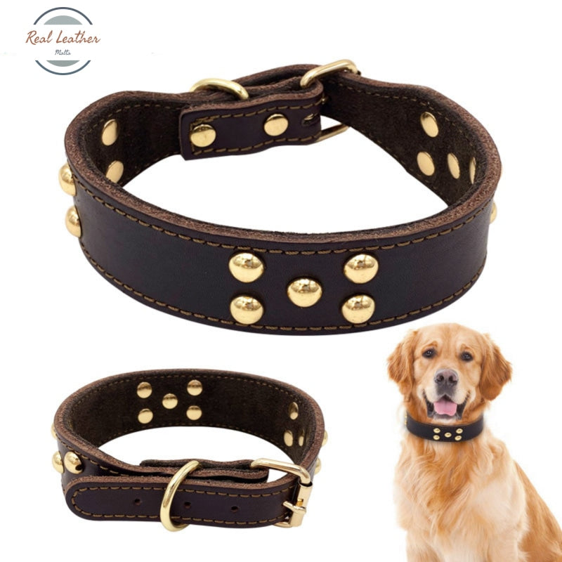 Genuine Leather Dog Collar Rivet Studded