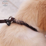 Genuine Leather Dog Leash