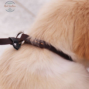 Genuine Leather Dog Leash