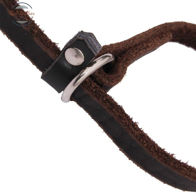 Genuine Leather Dog Leash