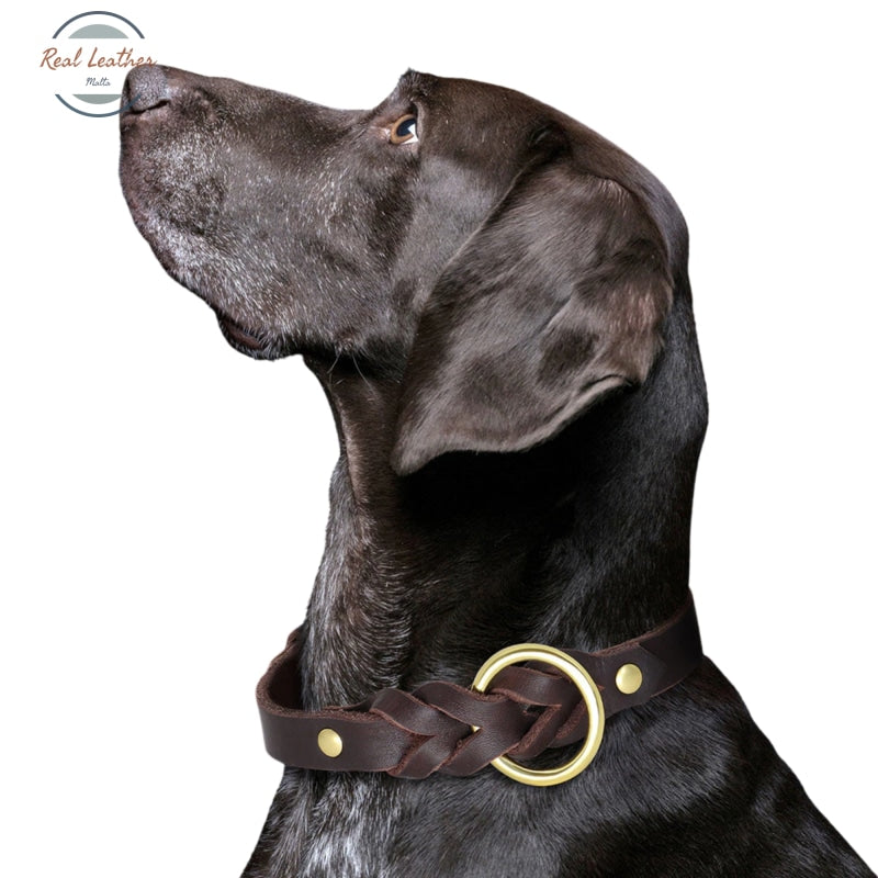 Genuine Leather Durable Braided Dog Collar Leash Set Leash Set