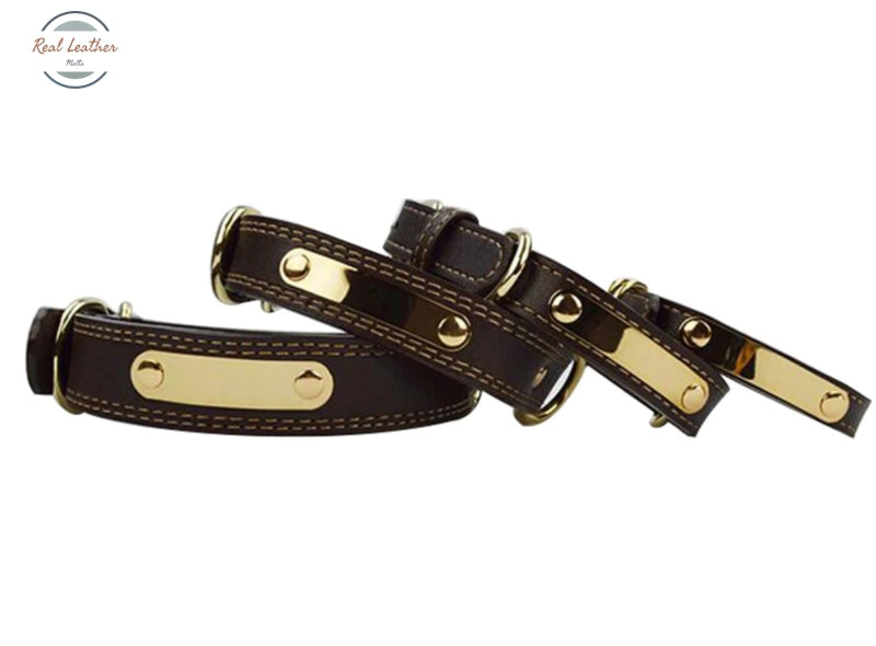 Leather Engraved Dog Collar Pet Tag
