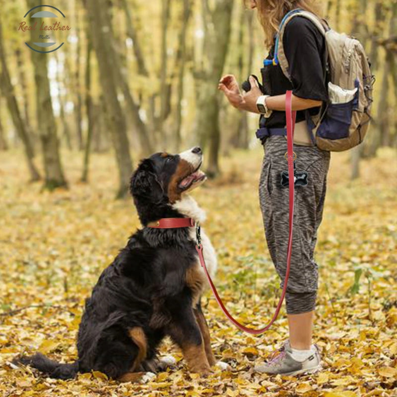 Personalized Leather Dog Collar Leash Set Leash Set