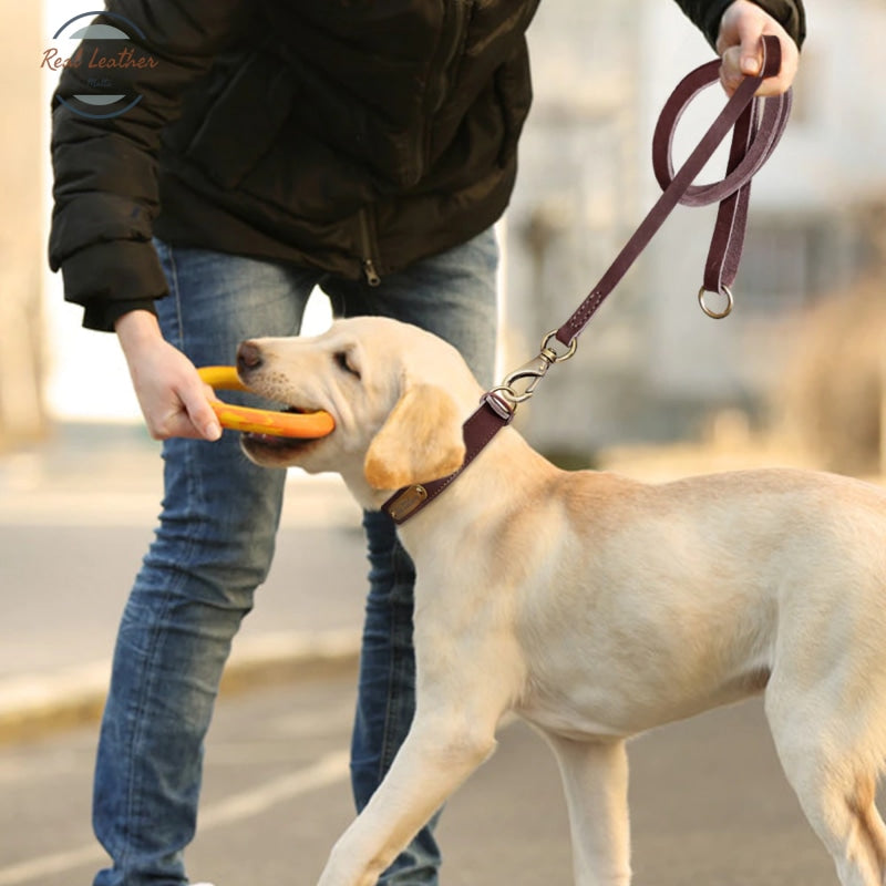 Personalized Leather Dog Collar Leash Set Leash Set