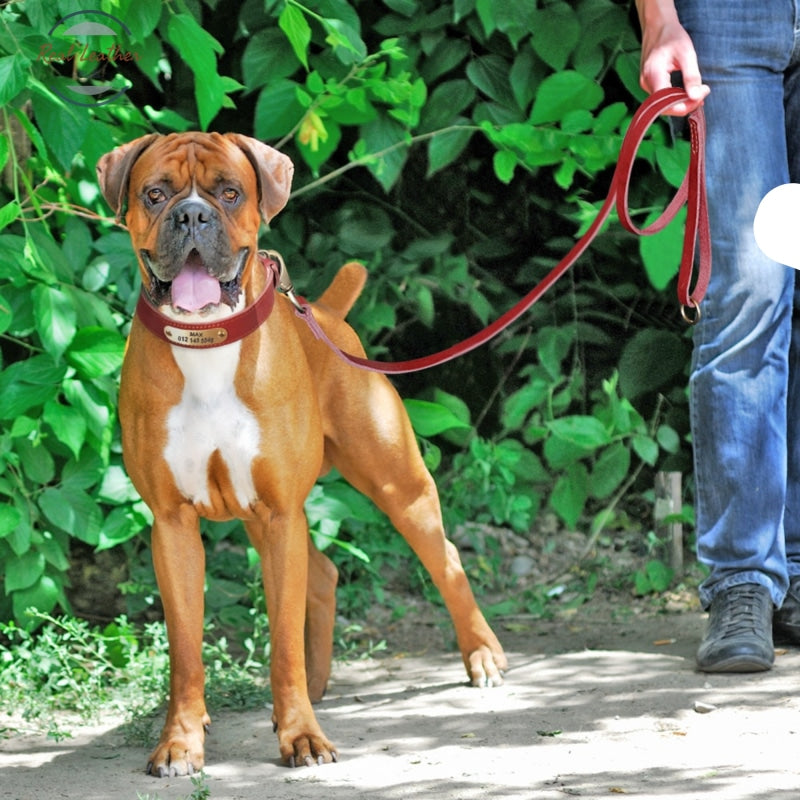 Personalized Leather Dog Collar Leash Set Leash Set