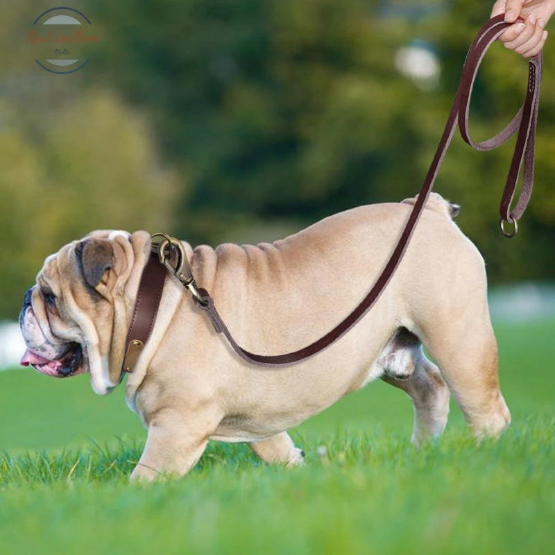 Personalized Leather Dog Collar Leash Set Leash Set