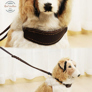 Real Leather Braided Large Dog Leash