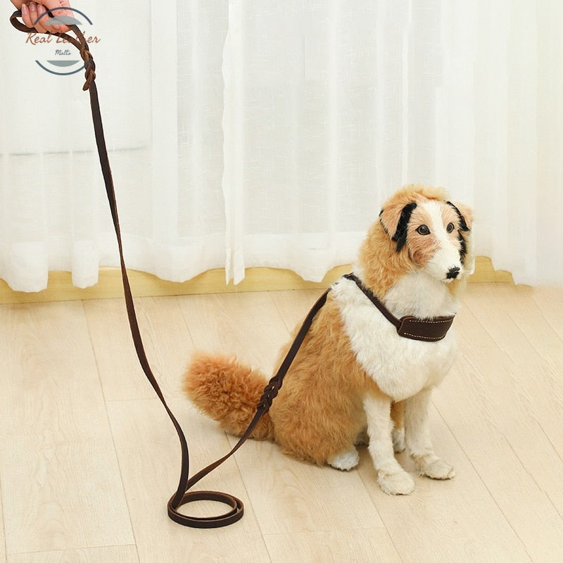 Real Leather Braided Large Dog Leash