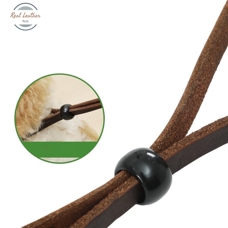 Real Leather Braided Large Dog Leash